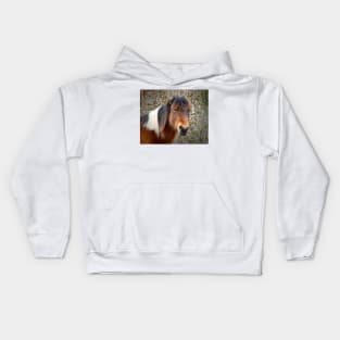 Assateague Island Pony Patricia Irene Kids Hoodie